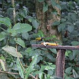 Costa Rica20150403-2112-0911